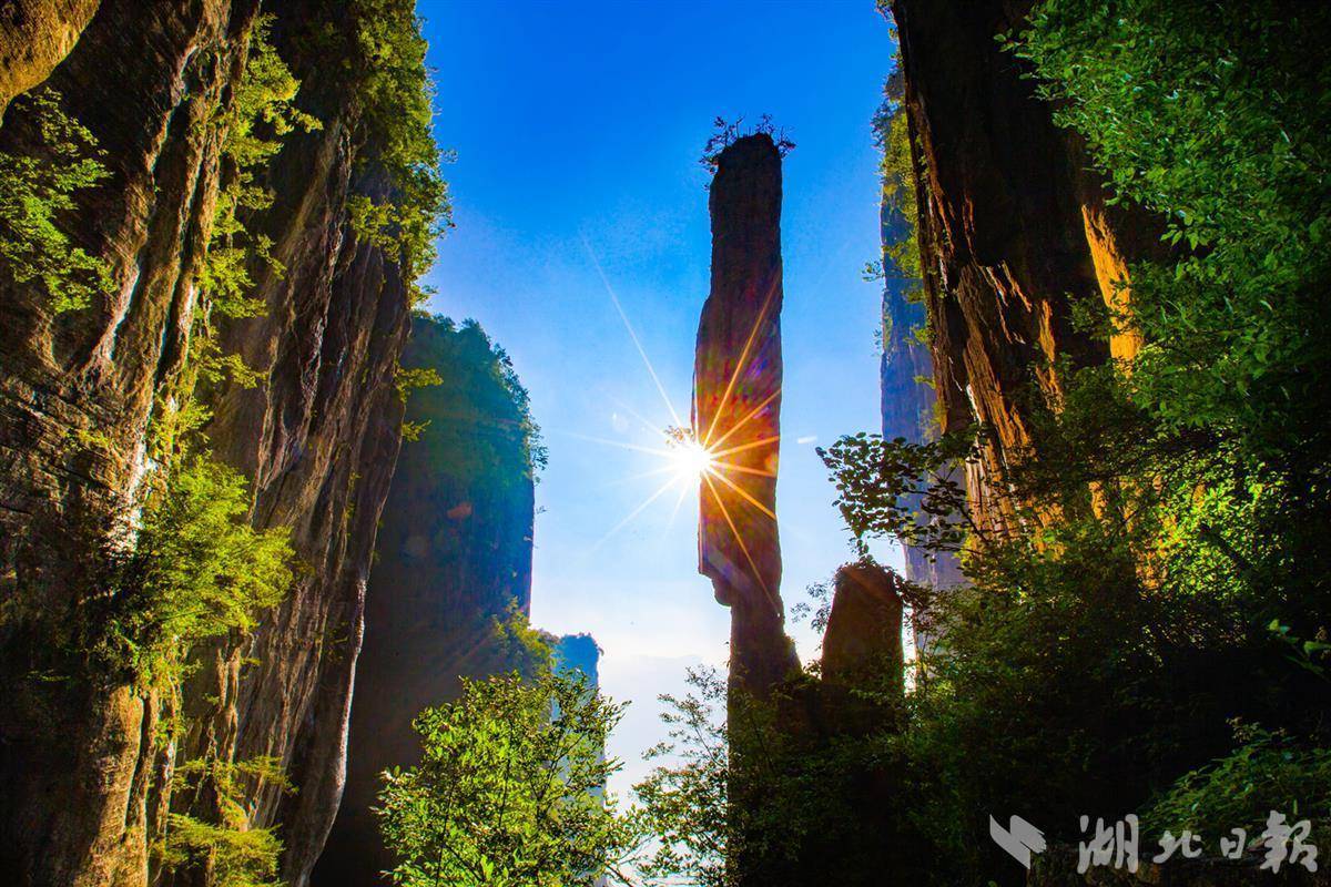 太阳成集团网址